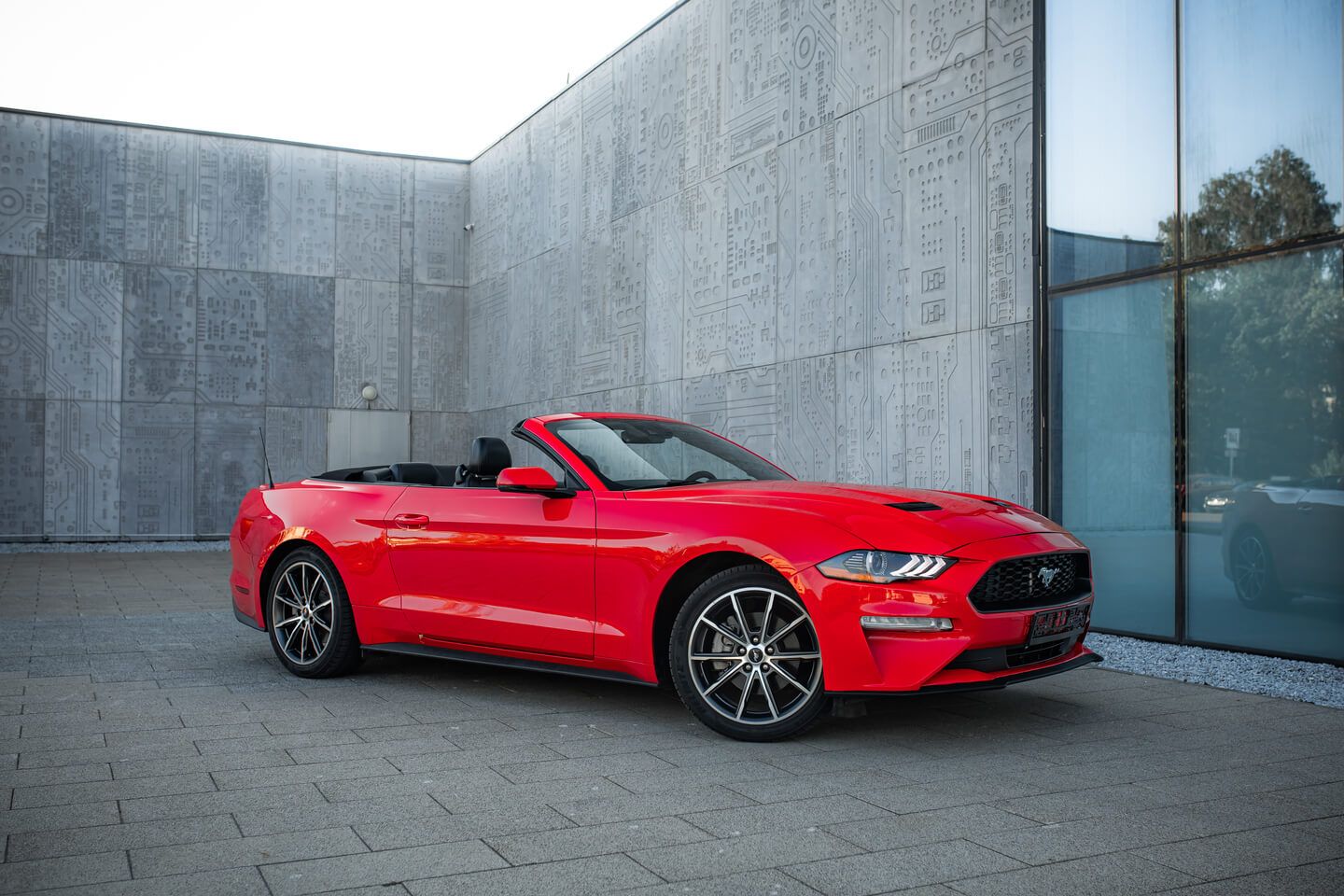 Аренда Ford Mustang в Москве
