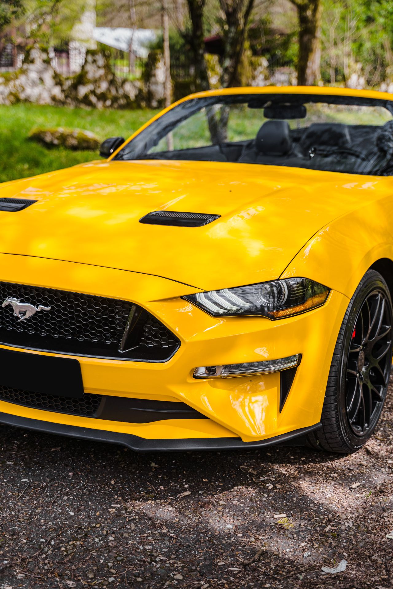Аренда Ford Mustang в Барнауле — фото 2