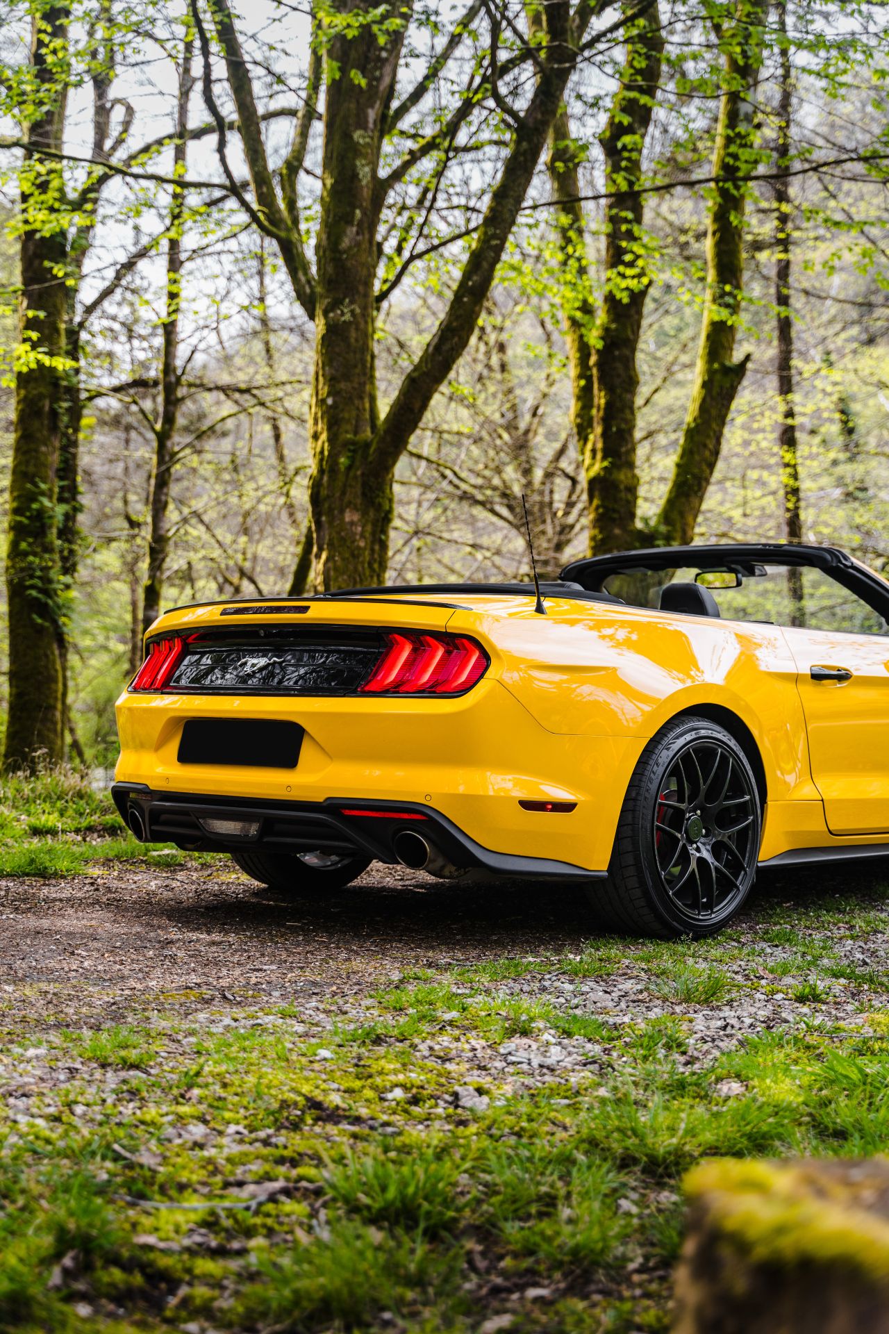 Аренда Ford Mustang в Барнауле — фото 3