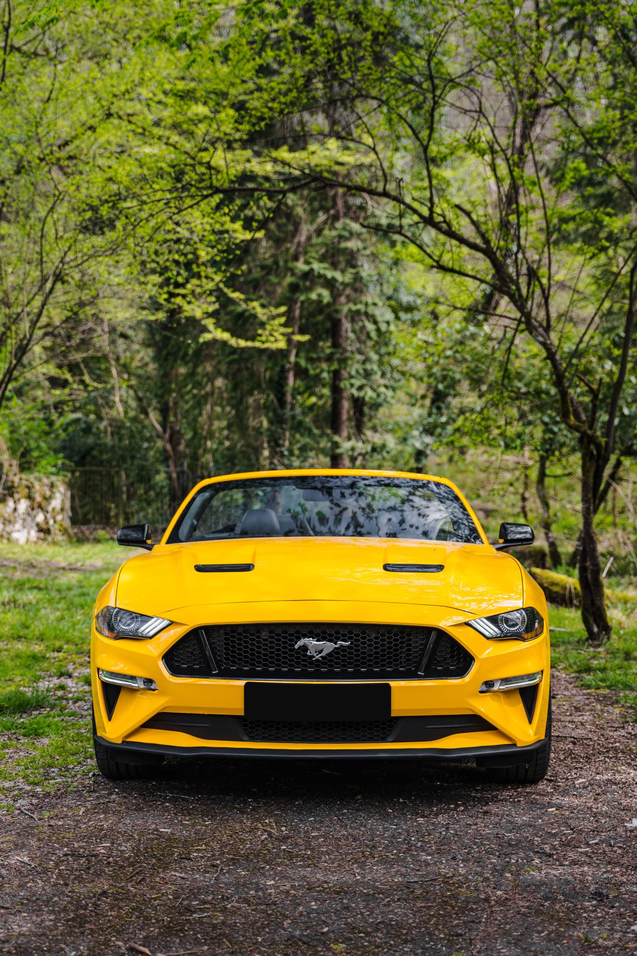 Аренда Ford Mustang в Барнауле