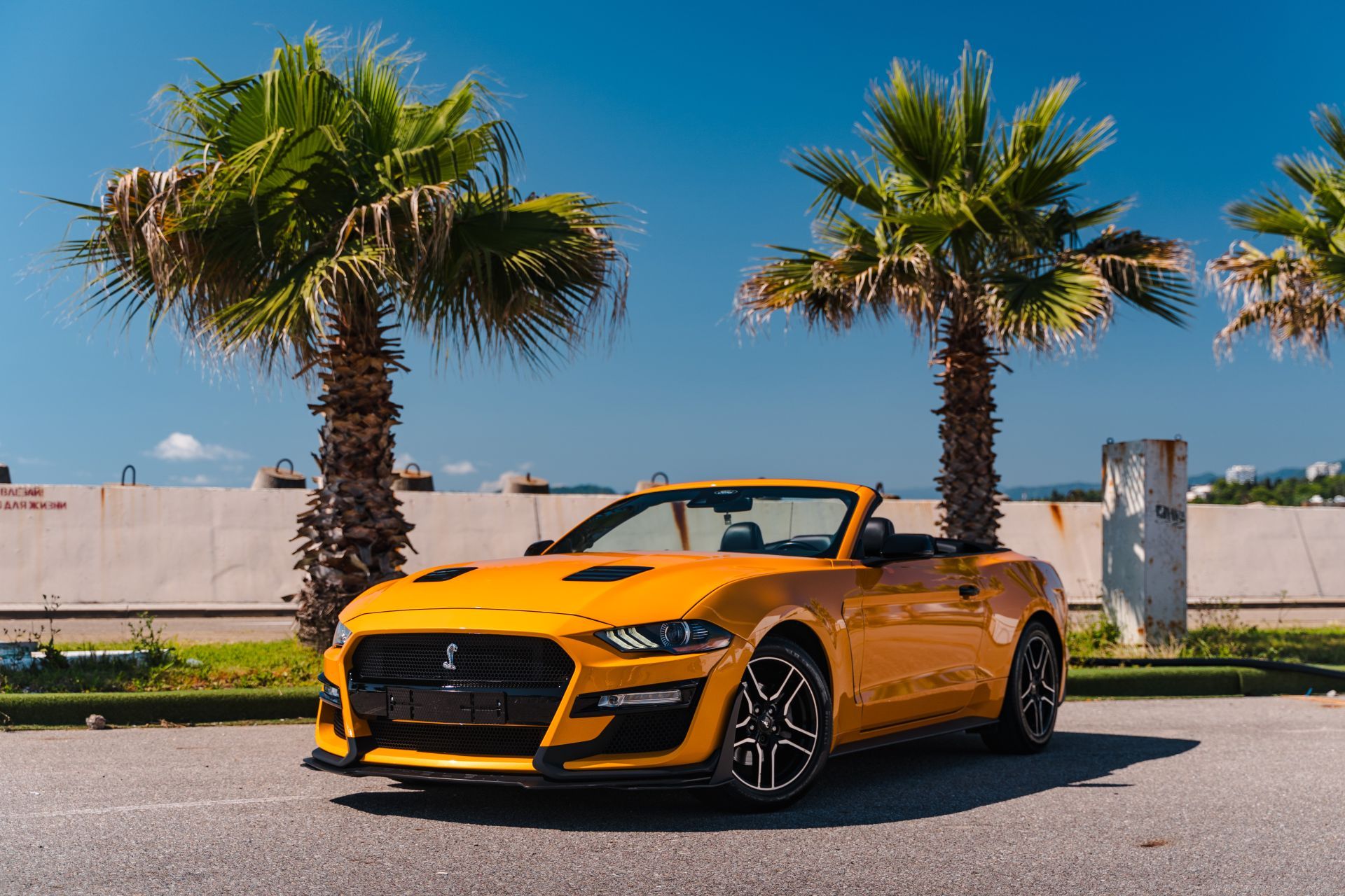 Аренда Ford Mustang в Москве