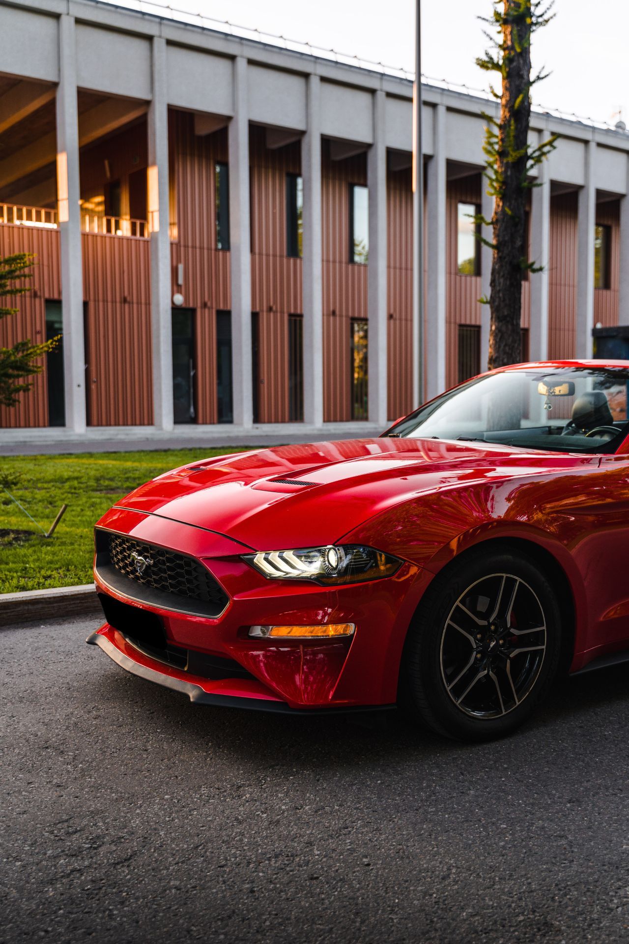 Аренда Ford Mustang в Санкт-Петербурге