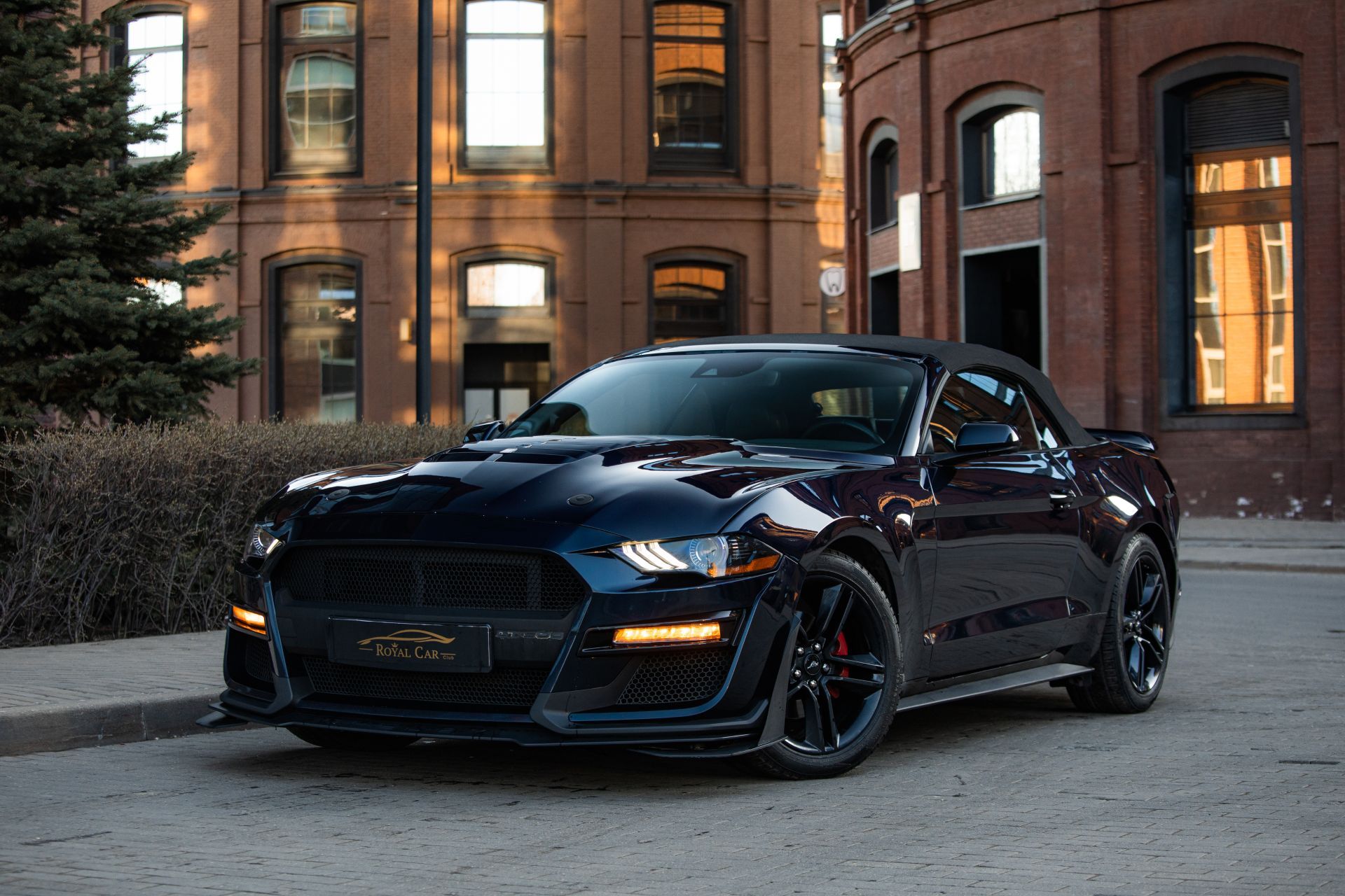 Аренда Ford Mustang в Москве