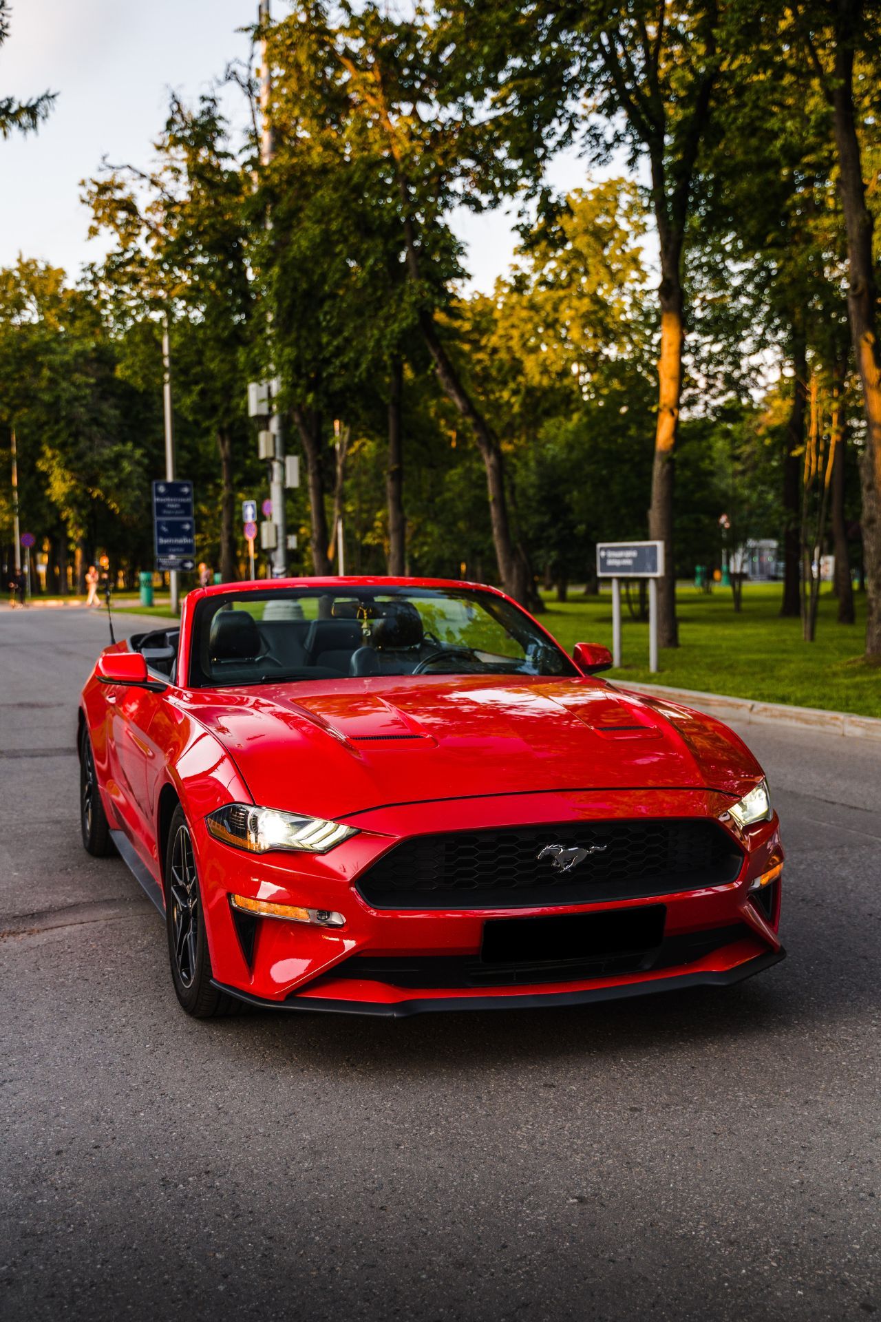 Аренда Ford Mustang в Санкт-Петербурге — фото 2