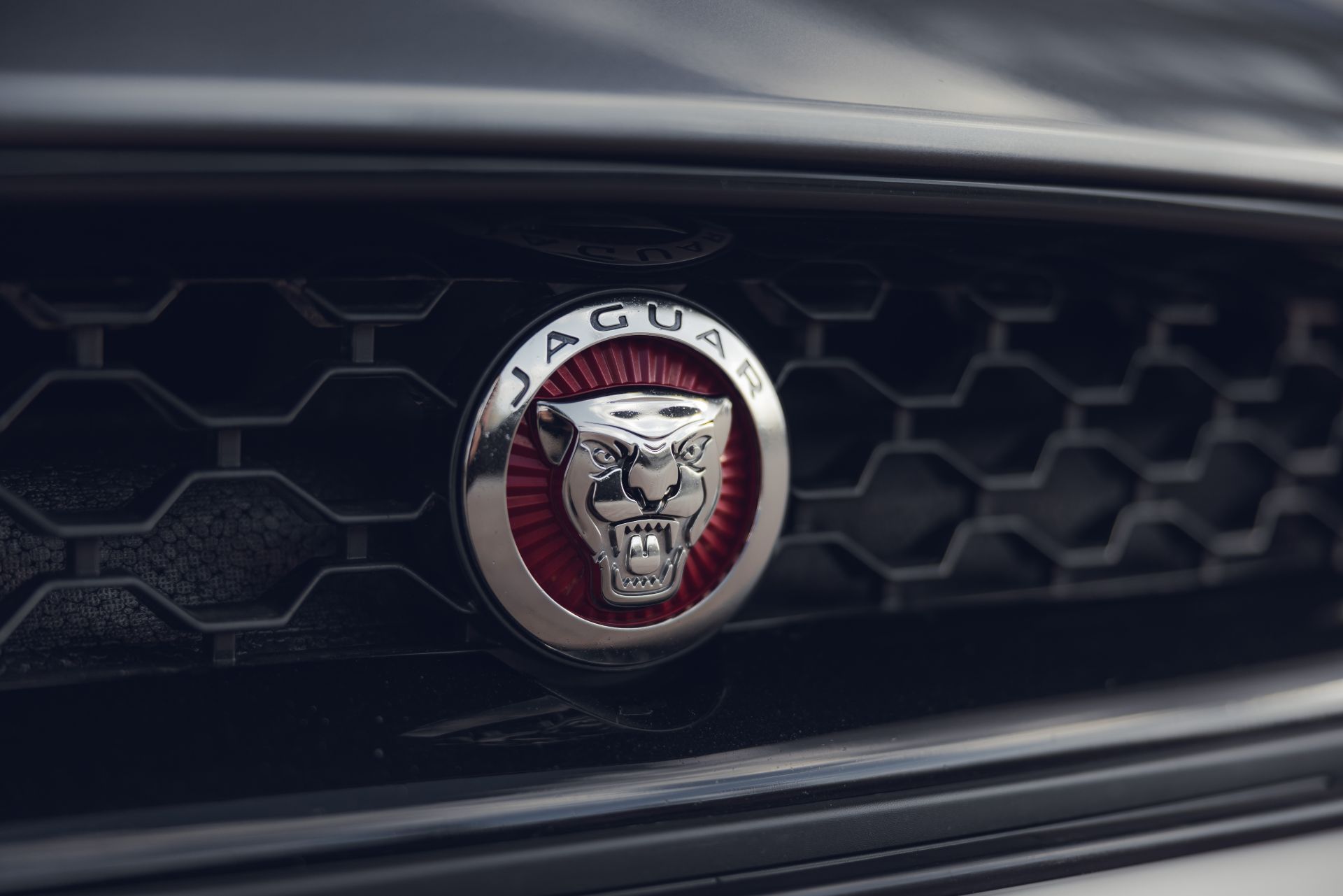 Аренда Jaguar F-Type в Москве — фото 24